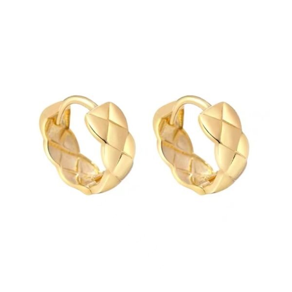 14K gold hoop earrings pic