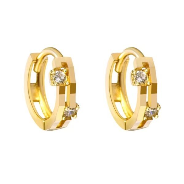 14K Double Gold Zircon Earrings pic