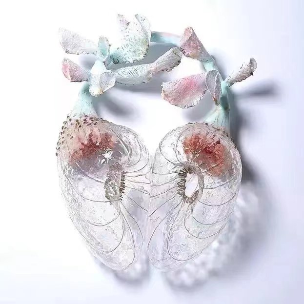 silica gel earrings